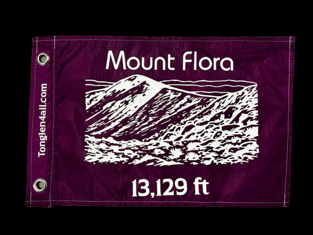 Purple flag with white text and mountain illustration on a gray surface