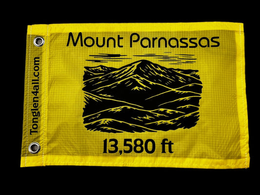 Yellow flag with black text and mountain illustration on a stone surface